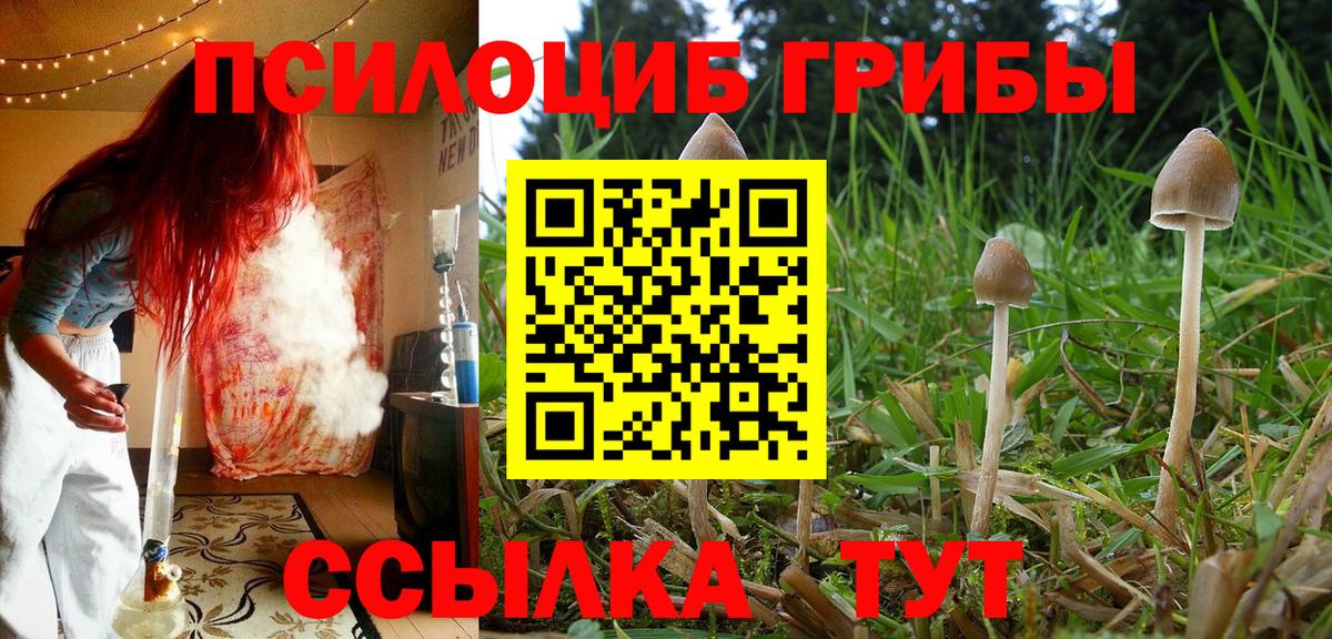 Псилоцибиновые грибы мицелий  Дзержинск 