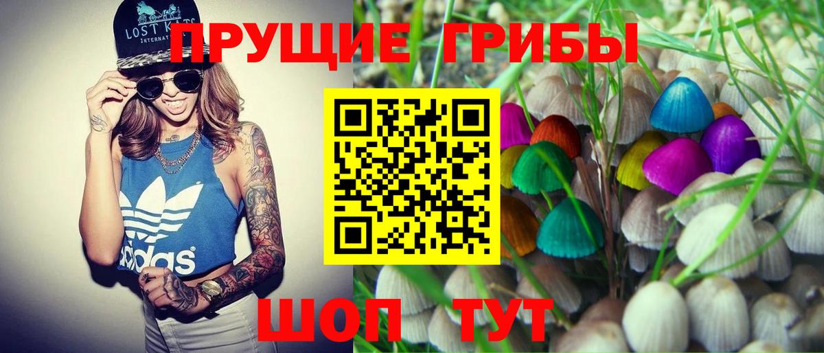Галлюциногенные грибы Psilocybe Дзержинск