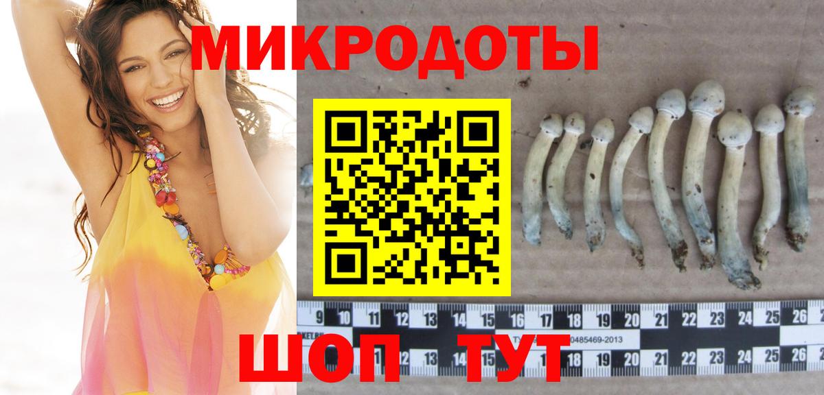 Псилоцибиновые грибы Cubensis  Псилоцибиновые грибы мицелий  Вход с VPN  Дзержинск 
