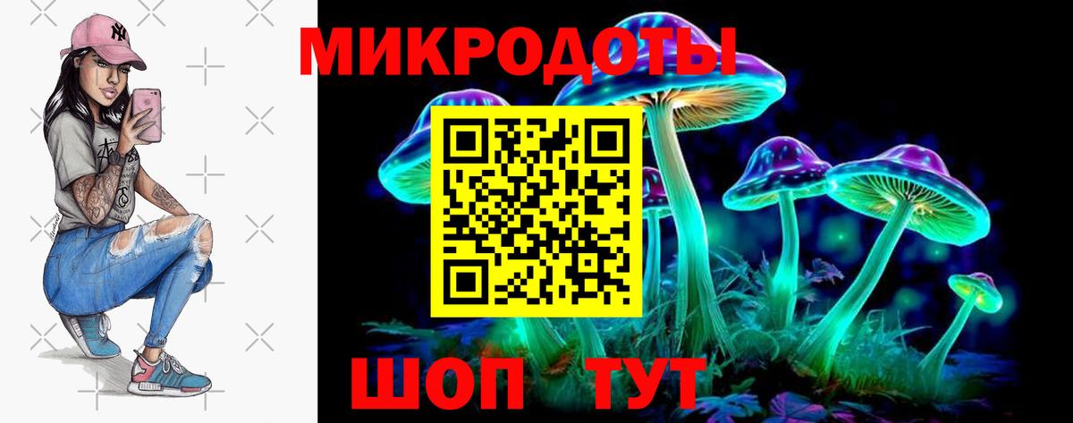 Галлюциногенные грибы Psilocybe Дзержинск